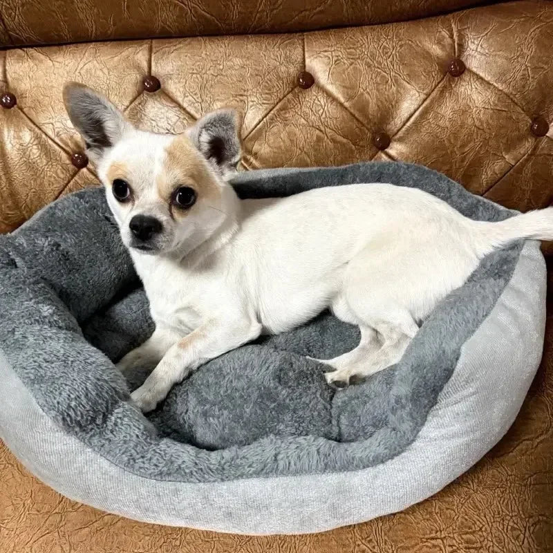 Cozy Dog & Cat Bed