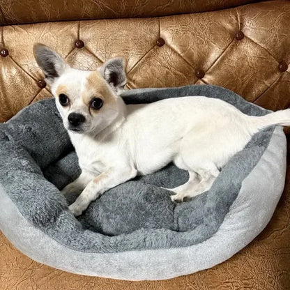 Cozy Dog & Cat Bed