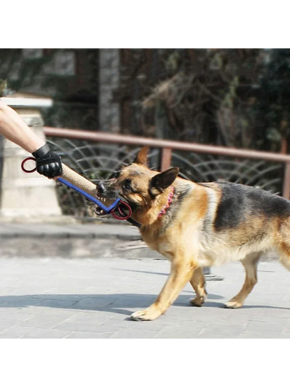 Oreiller de Morsure pour Chien