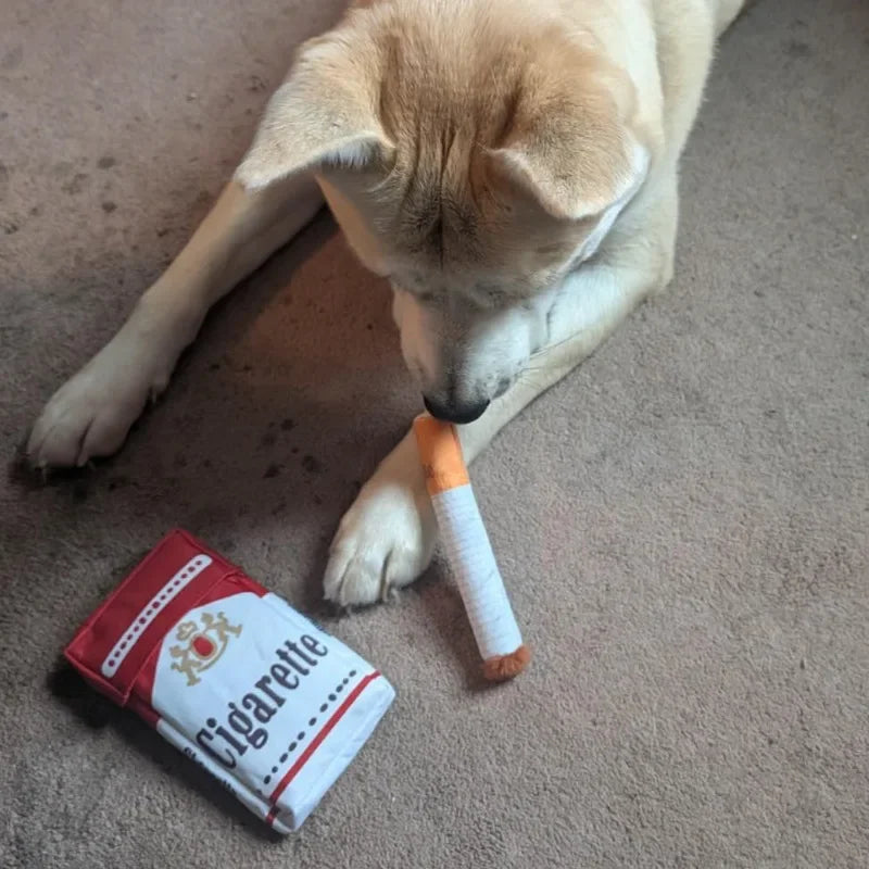 Creative Chew Toy Plush for Dogs