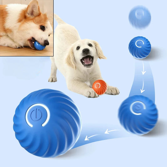 Balle Automatique Interactive pour Chien
