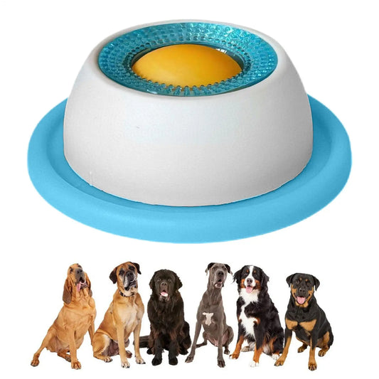 Treat Dispenser Puzzle Toy