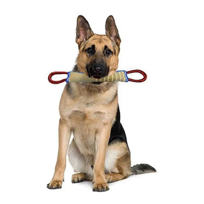 Oreiller de Morsure pour Chien