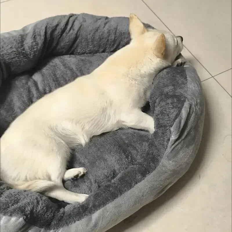 Cozy Dog & Cat Bed