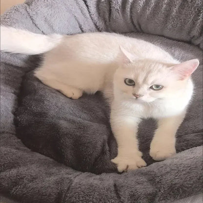 Cozy Dog & Cat Bed