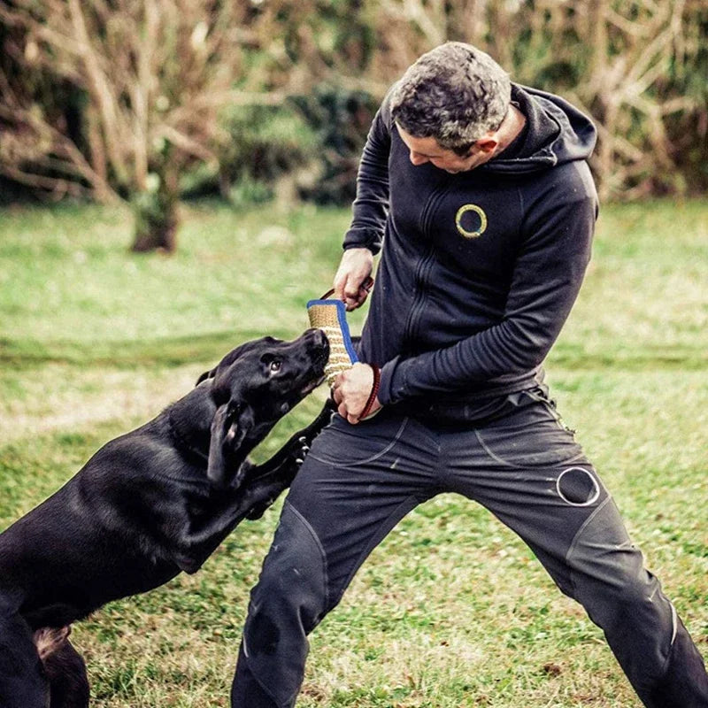 Oreiller de Morsure pour Chien