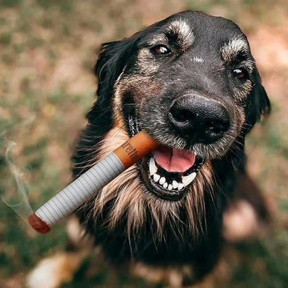 Creative Chew Toy Plush for Dogs